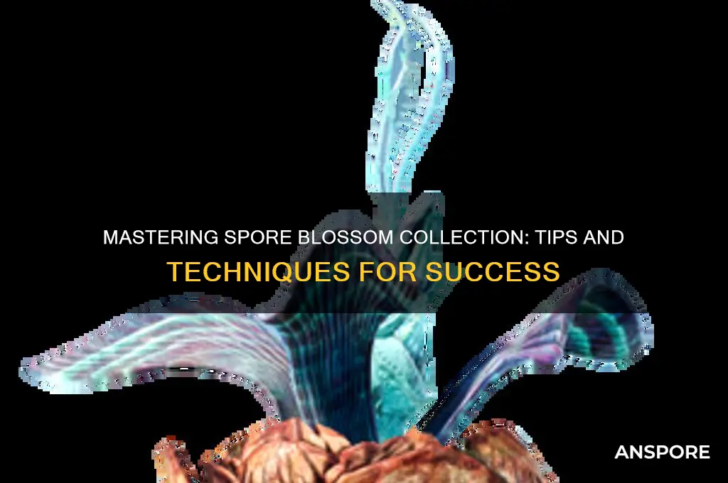 how to collect spore blossom
