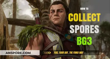 Mastering Spore Collection in Baldur's Gate 3: A Comprehensive Guide