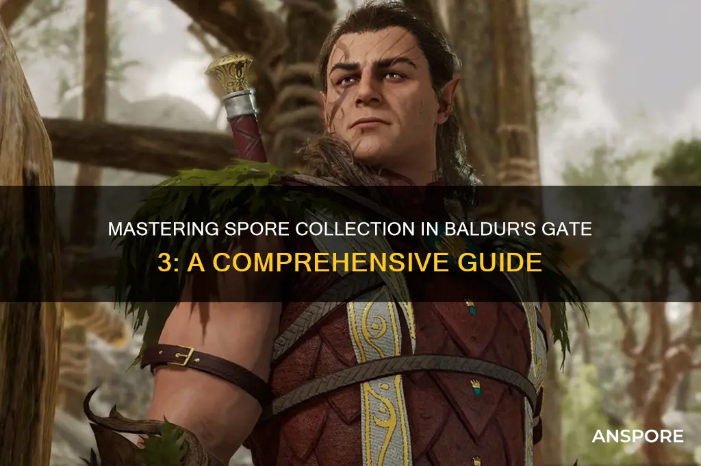 how to collect spores bg3