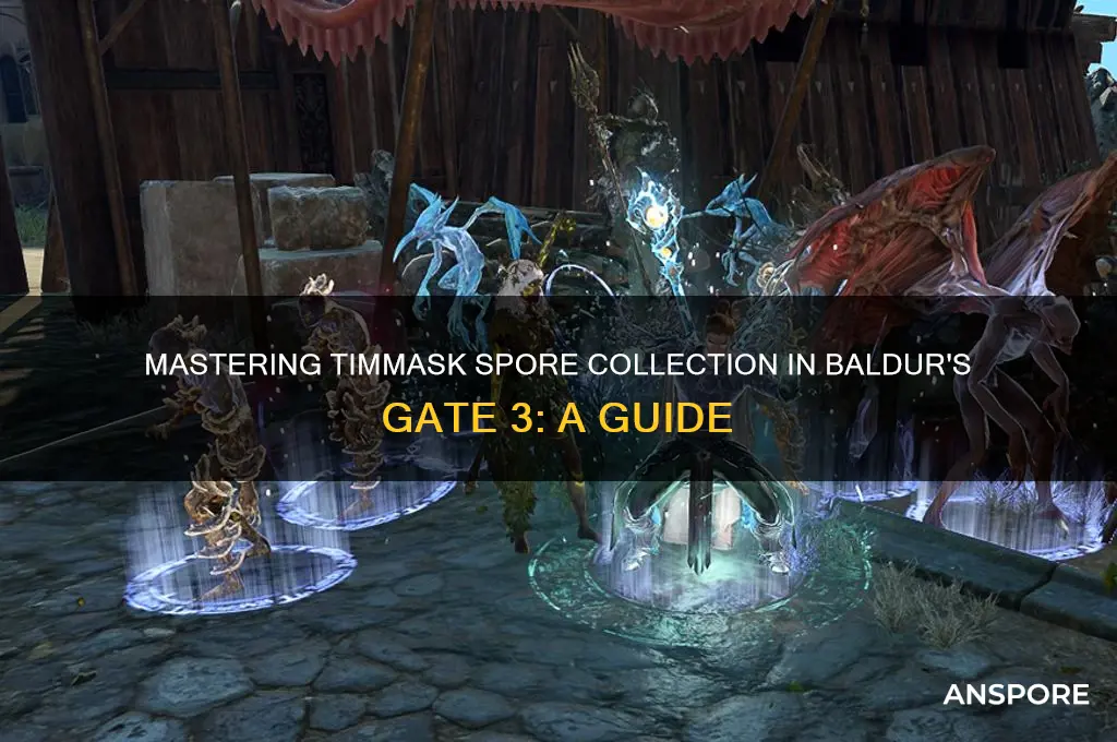how to collect timmask spores bg3