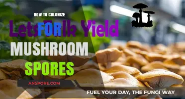 Mastering Mushroom Colonization: A Step-by-Step Guide to Growing Spores