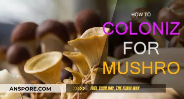 The Ultimate Guide: Colonizing Mushrooms