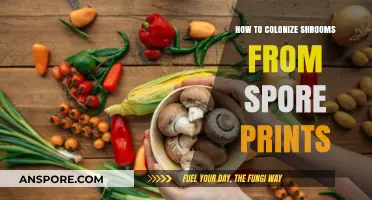 Mastering Mushroom Colonization: A Guide to Using Spore Prints