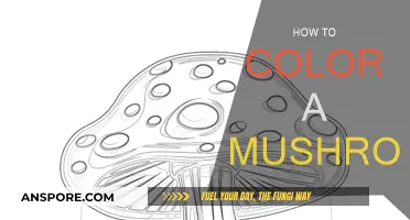 Coloring Mushrooms: A Step-by-Step Guide to Perfection