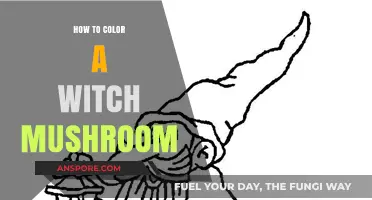 Magical Mushroom Art: A Step-by-Step Guide to Coloring Witch Fungi