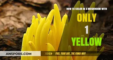 Creative Mushroom Coloring: Mastering Single Yellow Shade Techniques