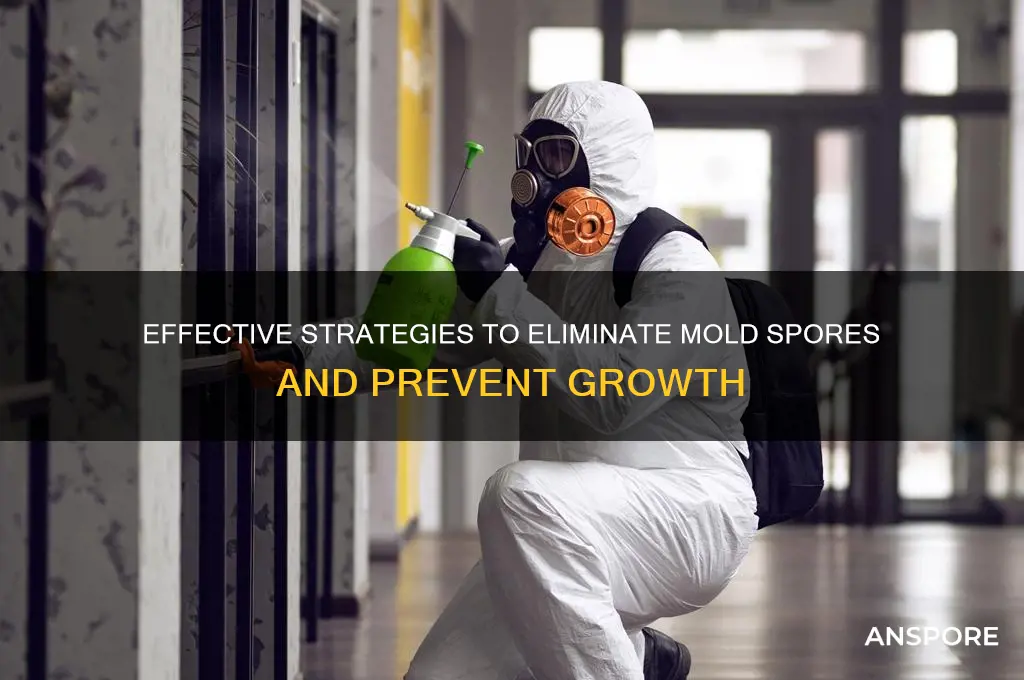 how to combat mold spores