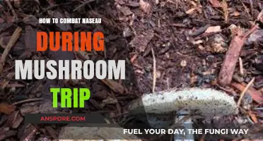Easing Nausea: Effective Tips for a Comfortable Mushroom Trip Experience