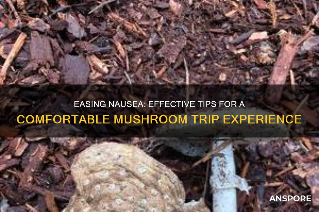 how to combat naseau during mushroom trip