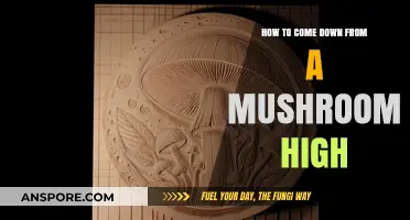 Easing the Mushroom High: Safe and Effective Ways to Come Down