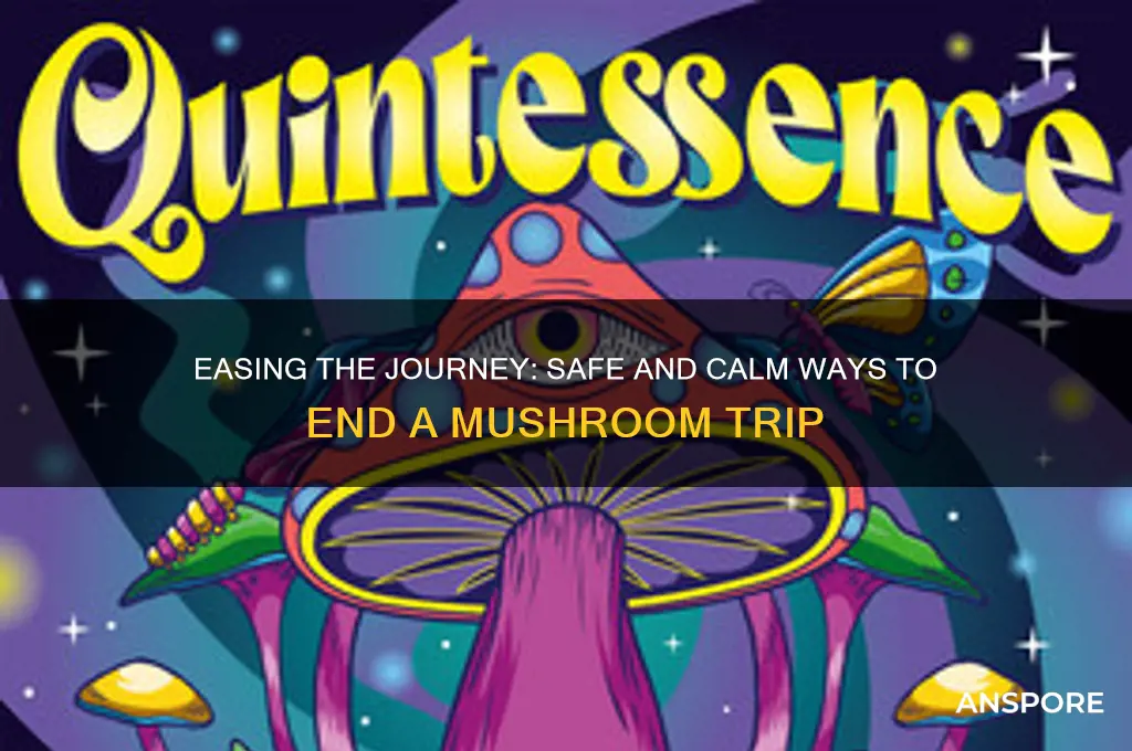 how to come down from a mushroom trip