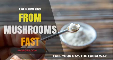 Quick Tips to Safely Come Down from Mushrooms Fast