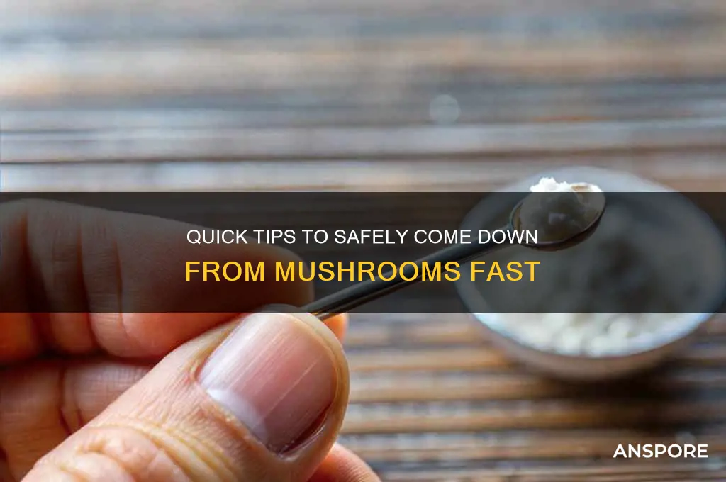 how to come down from mushrooms fast
