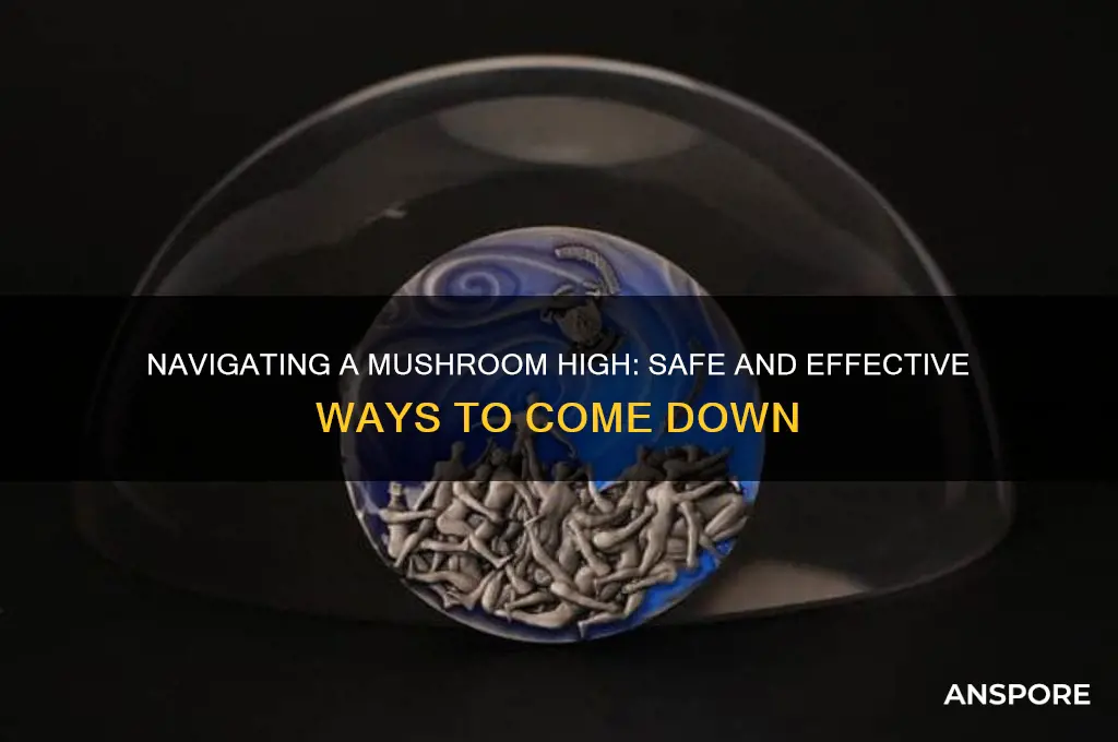how to come down from mushrooms