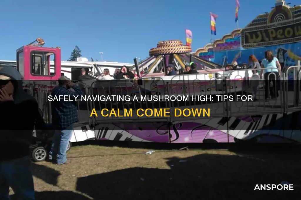 how to come down off of mushrooms