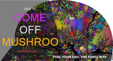 Tripping on Mushrooms? Here's How to Come Down
