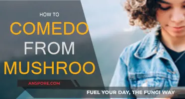 Calming Trips: Strategies for a Safe Mushroom Comedown