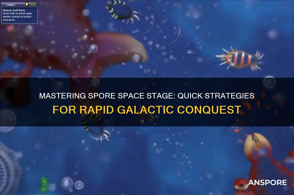 how to complete spore space stage fast
