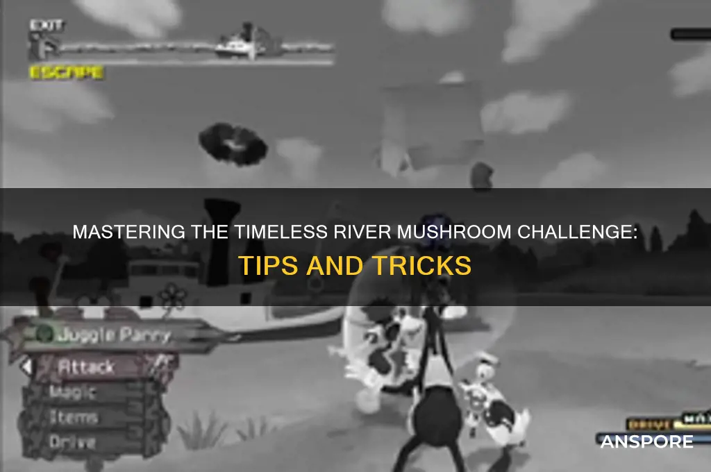 how to complete timeless river mushroom challange