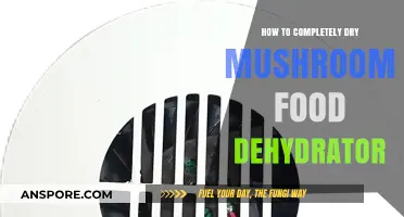 Mastering Mushroom Dehydration: A Complete Guide to Using Food Dehydrators
