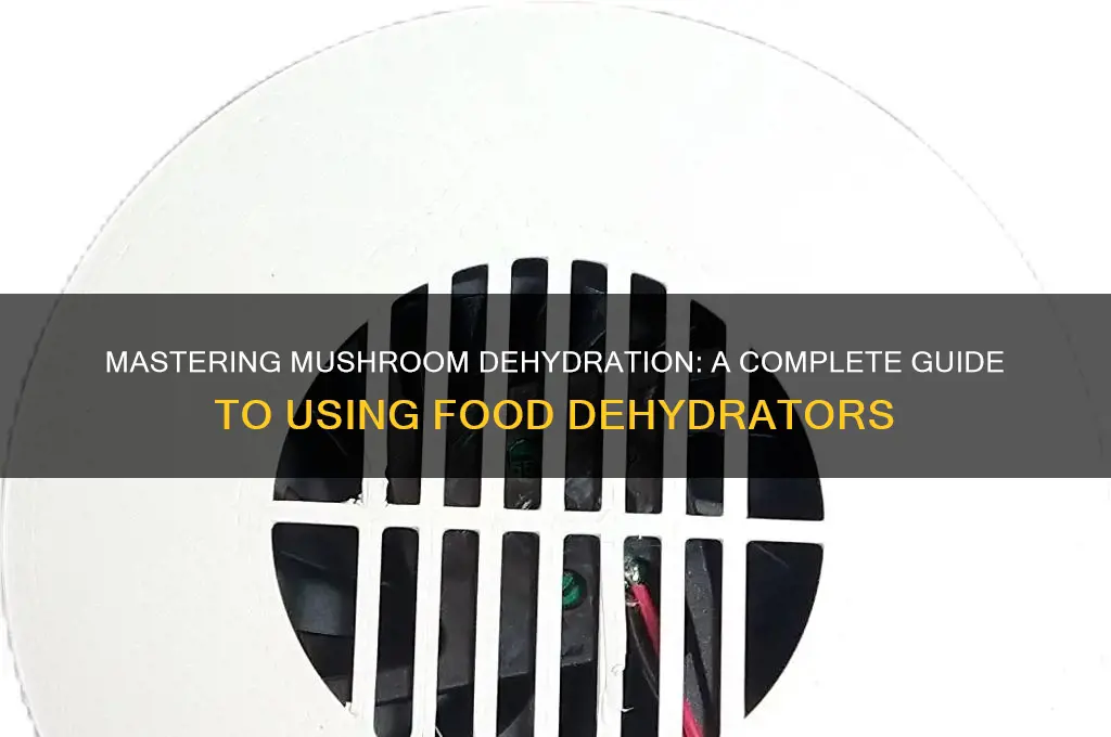 how to completely dry mushrooms food dehydrator