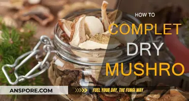 Drying Mushrooms: The Ultimate Guide to Bone-Dry Fungi