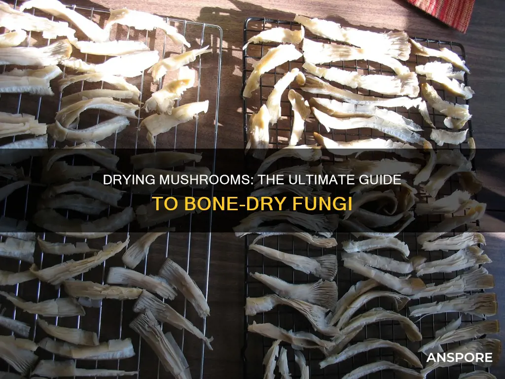 how to completely dry mushrooms