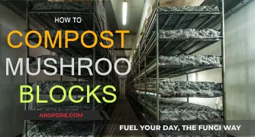 Mushroom Block Composting: A Step-by-Step Guide
