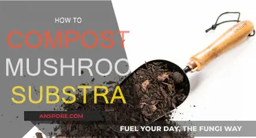 Mastering Mushroom Composting: A Guide to Reusing Substrate