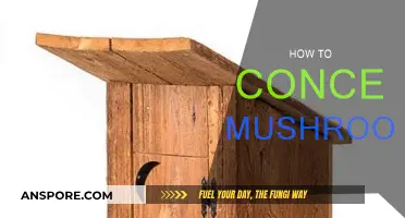 Concealing Mushrooms: Creative Hiding Spots and Techniques