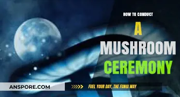 Guided Steps for Sacred Mushroom Ceremonies: Preparation and Rituals