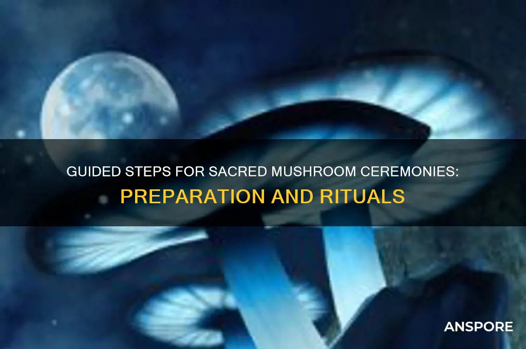 how to conduct a mushroom ceremony