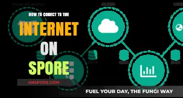 Connect to the Internet in Singapore: A Step-by-Step Guide for Expats