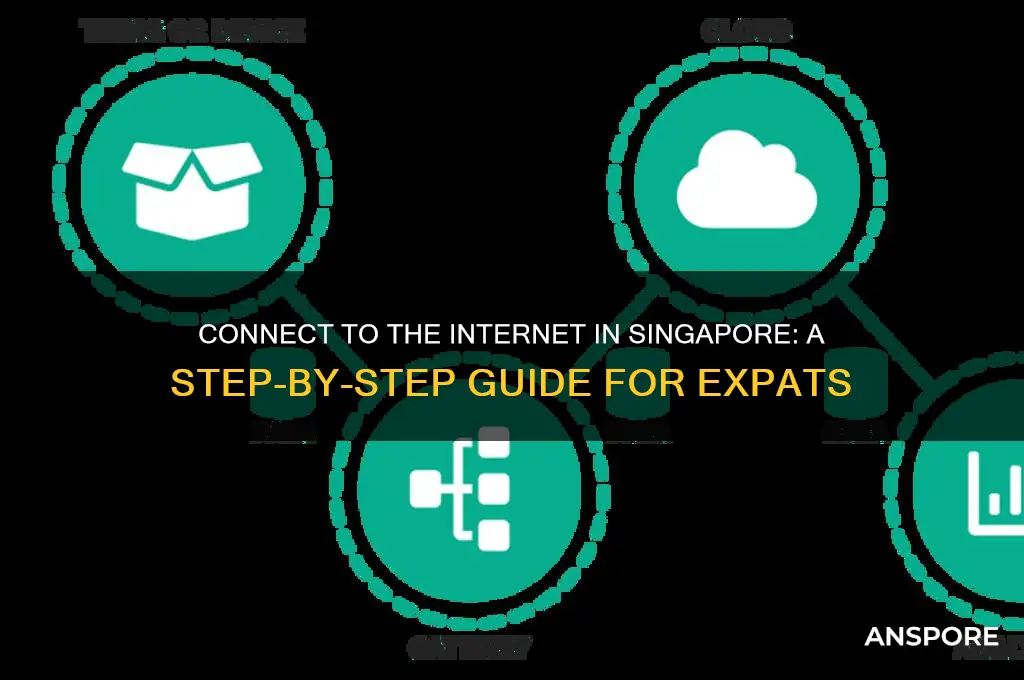 how to conect to the internet on spore