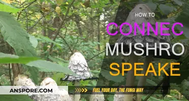 Connecting Your Mushroom Speaker: A Step-by-Step Guide