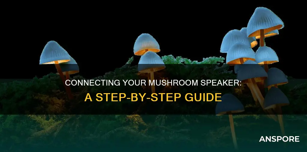 how to connect mushroom speaker