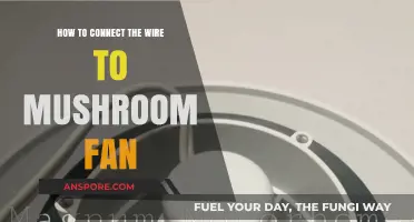 Easy Steps to Connect Wires to Your Mushroom Fan Safely