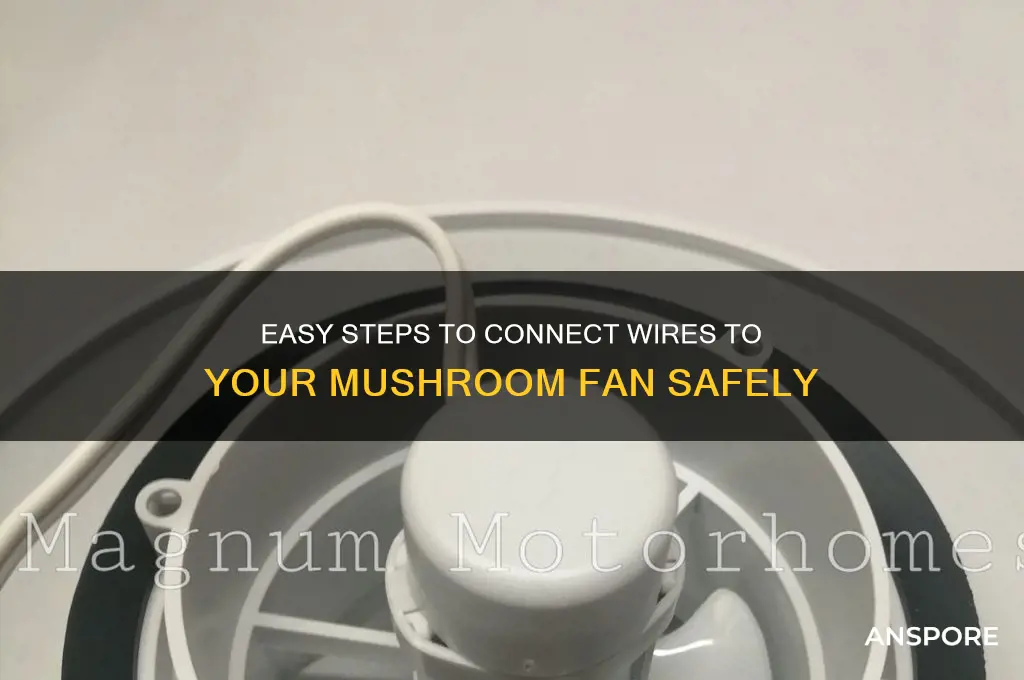 how to connect the wire to mushroom fan