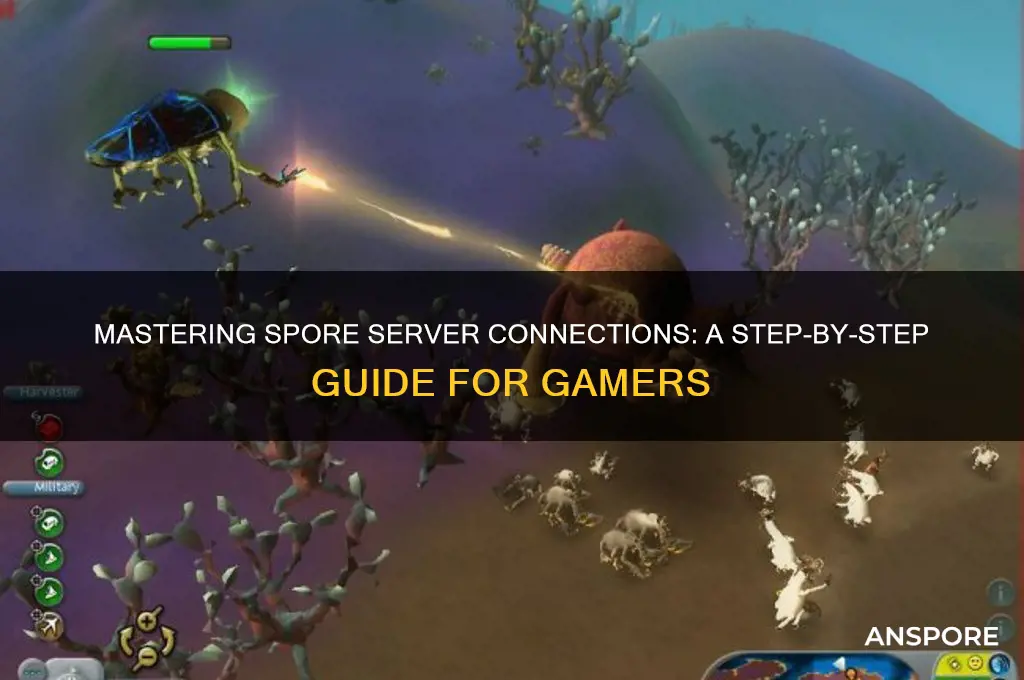 how to connect to spore servers