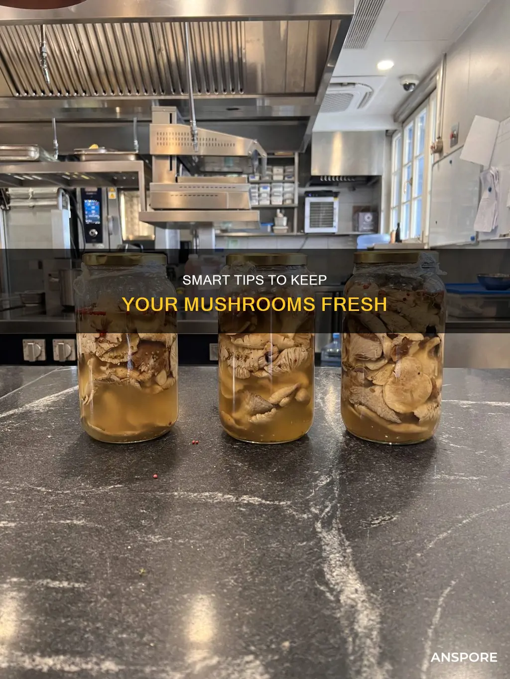 how to conserve mushrooms