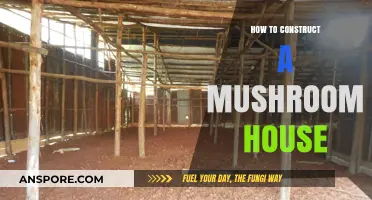 Building a Sustainable Mushroom House: Step-by-Step Construction Guide