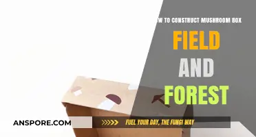 Building Mushroom Box Fields in Forests: A Step-by-Step Guide