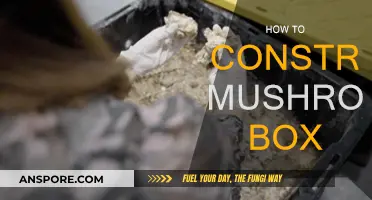 Constructing a Mushroom Box: A Step-by-Step Guide