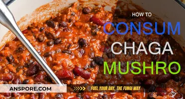 Chaga Mushroom: Best Ways to Consume It