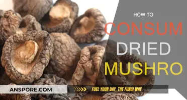 Dried Mushrooms: Easy Ways to Consume Them
