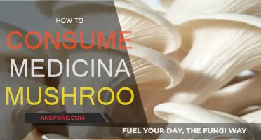 Medicinal Mushrooms: A Guide to Consuming Safely