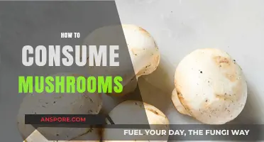 Mushroom Consumption: Best Ways to Enjoy Them