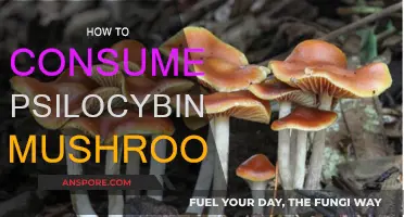 Consuming Psilocybin Mushrooms: A Step-by-Step Guide