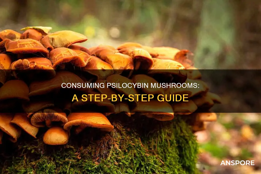 how to consume psilocybin mushrooms