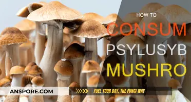 Smart Guide: Consuming Psilocybe Mushrooms